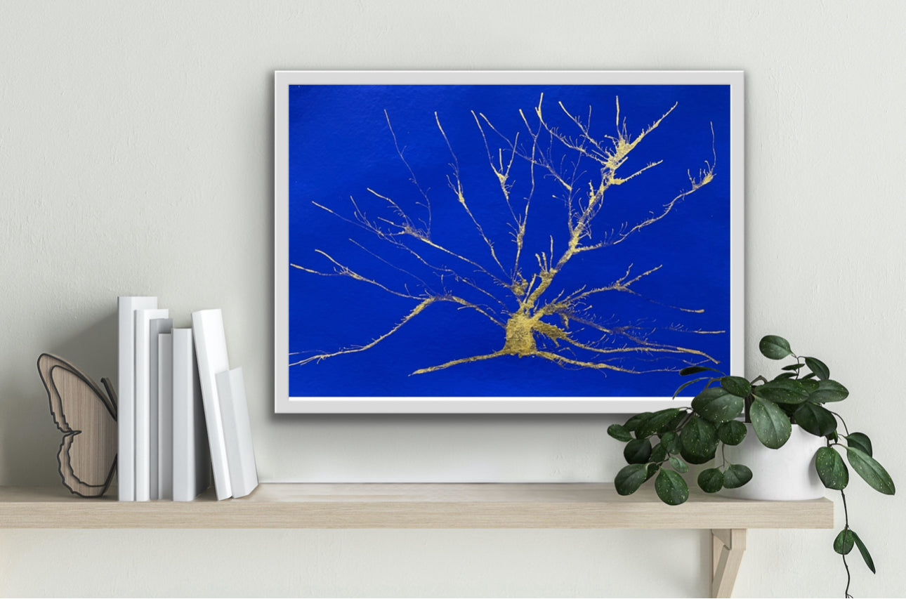 Winter Tree - On Blue
