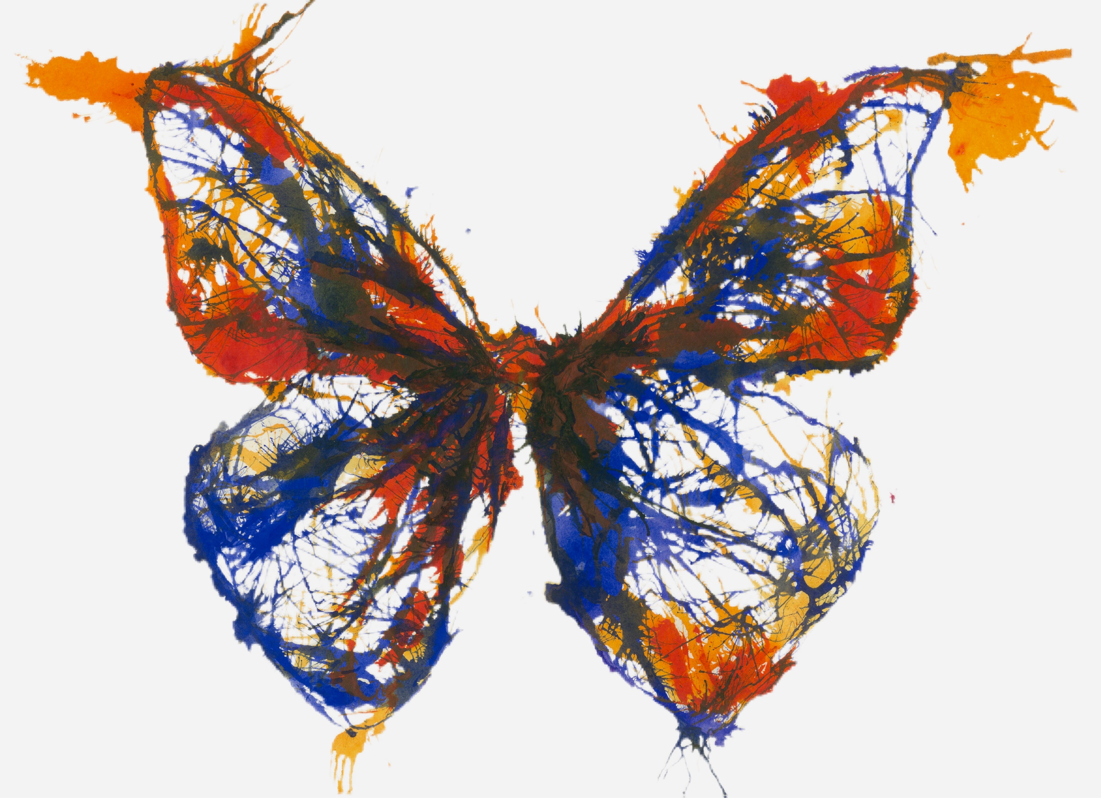 abstract butterfly drawing