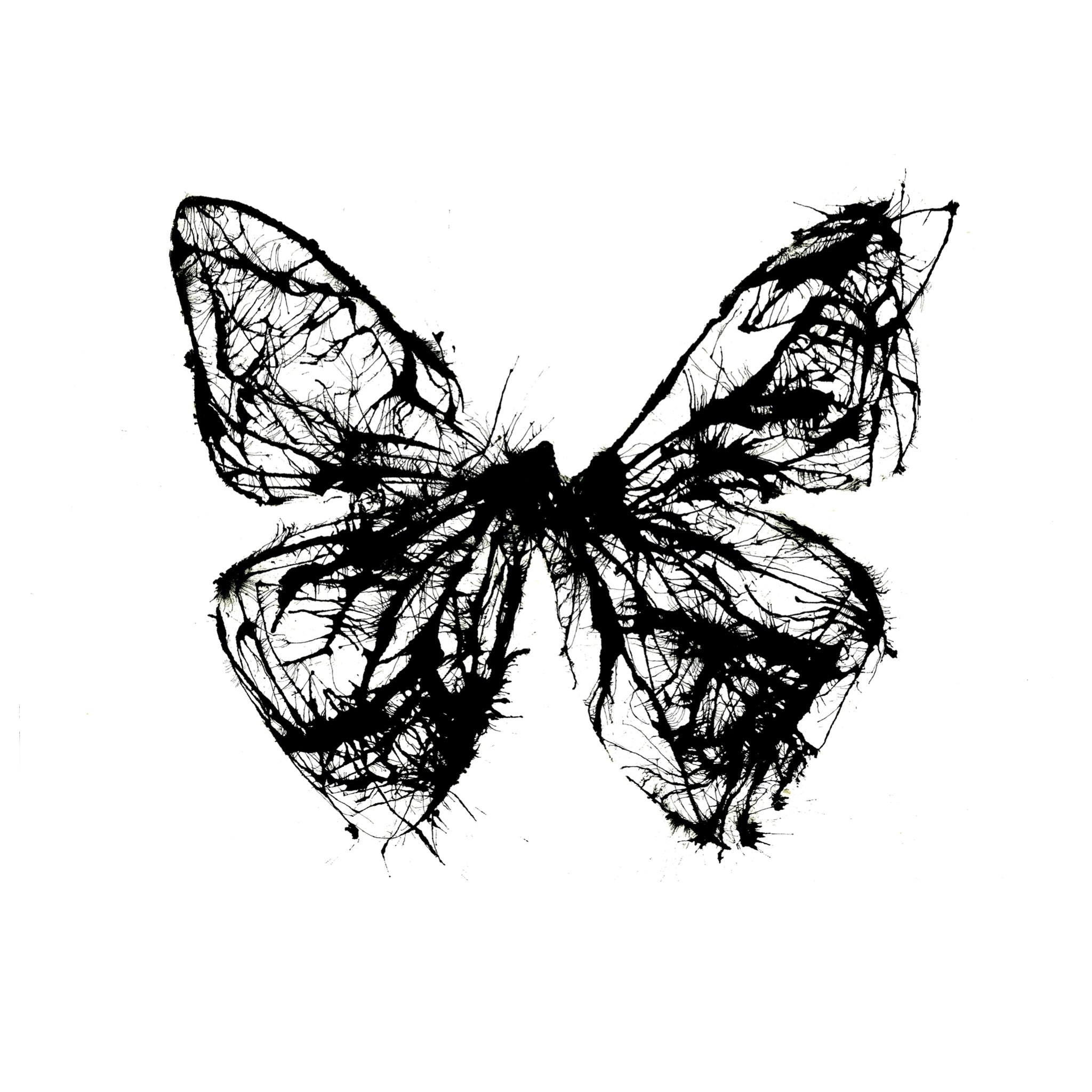 abstract art black and white butterfly
